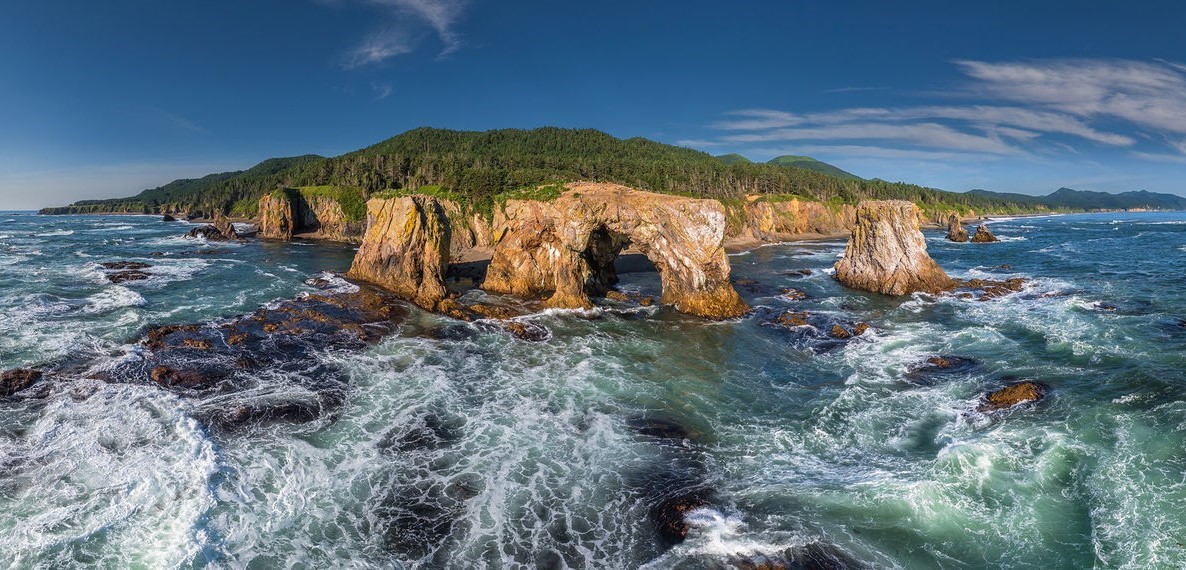 Rock arches and forested cliffs along a wild coastline